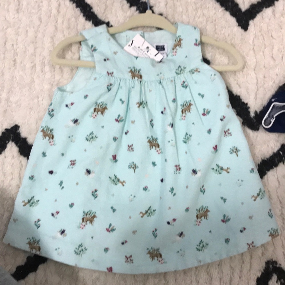 Janie and jack corduroy dress